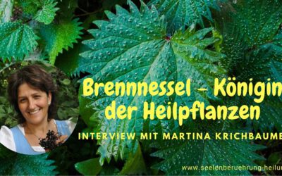 HFS_63 Brennnessel – Königin der Heilpflanzen